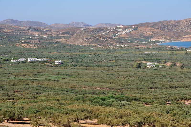 Hotel Marina Village Sitia  Eksteriør billede
